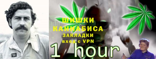 apvp Надым