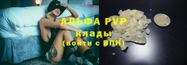 apvp Надым