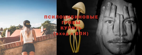 apvp Надым
