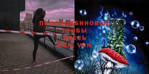 кокс Нея
