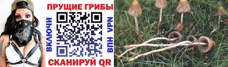 Псилоцибиновые грибы мухоморы  Нытва 